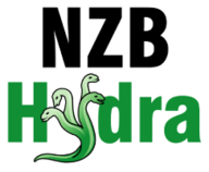 Nzbhydra2